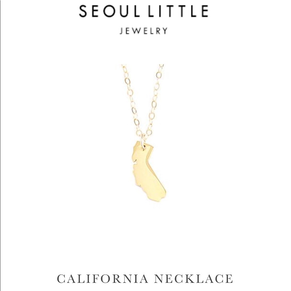 Seoul Little California 14k gold filled necklace